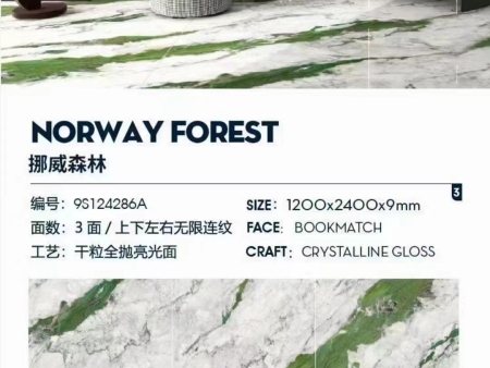 奢石系列——挪威森林