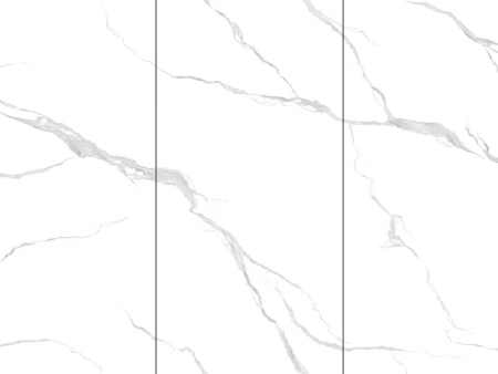 中岩系列——傲雪-亮面  左右无限连