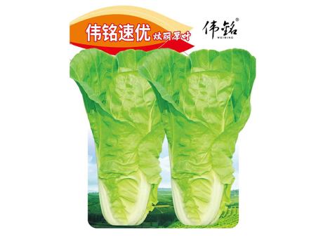 速优（炫丽厚叶）