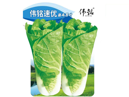 速优（巅 峰厚叶）