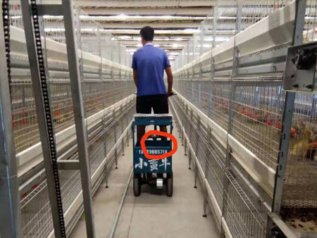 鸡舍电动观察车