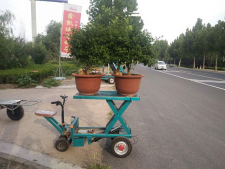 花卉电动升降运输车