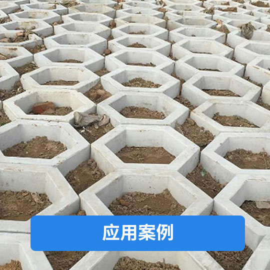 图片01