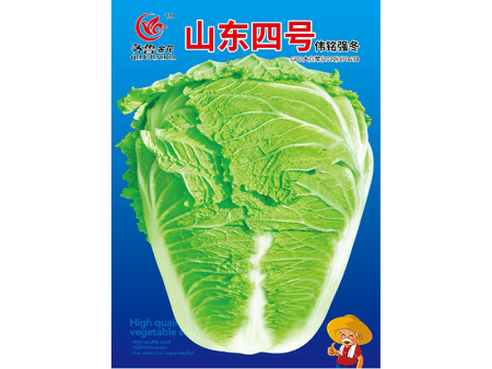 山东四号