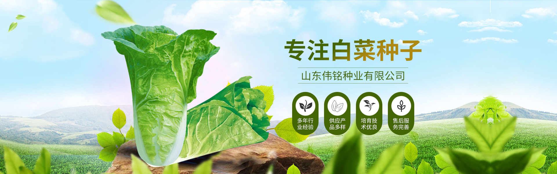 山东伟铭种业有限公司