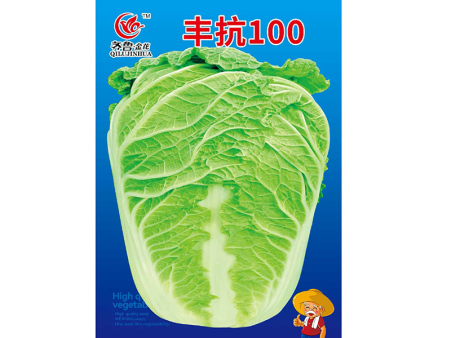 丰抗100