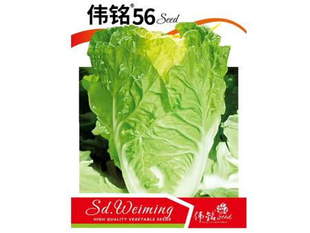 伟铭56