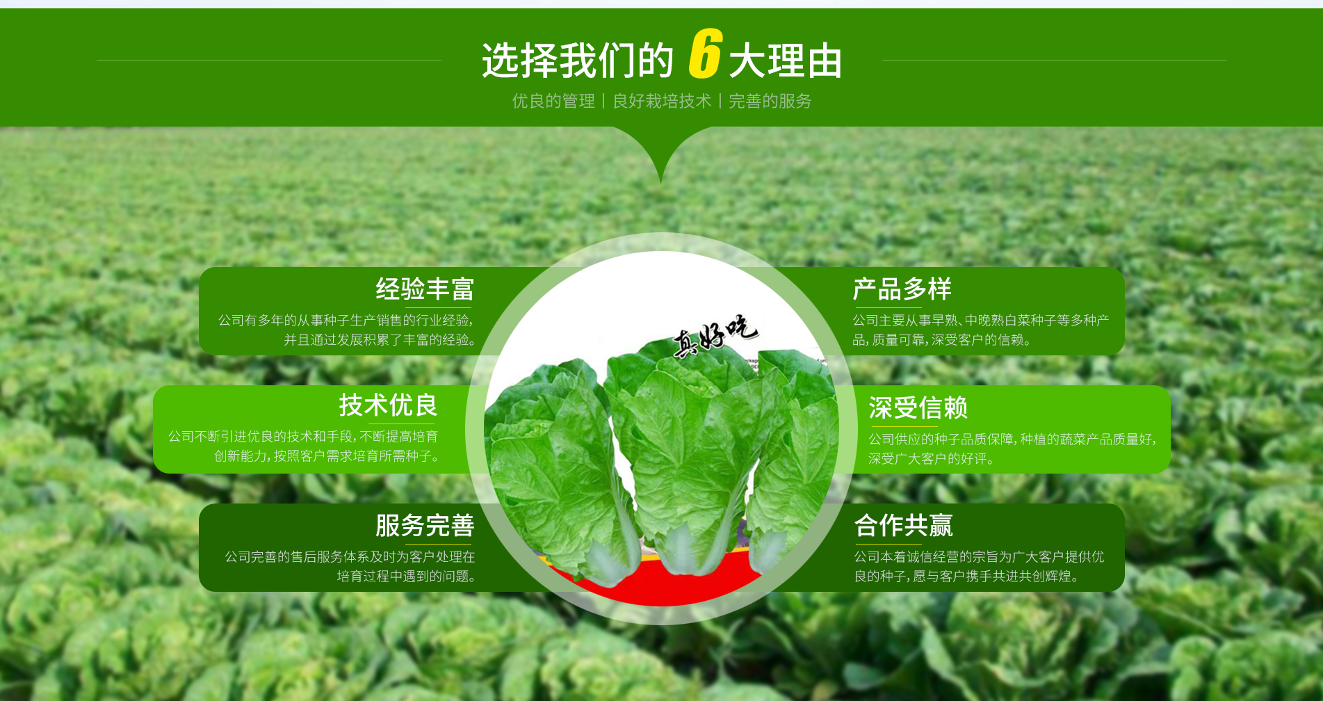 山东伟铭种业有限公司