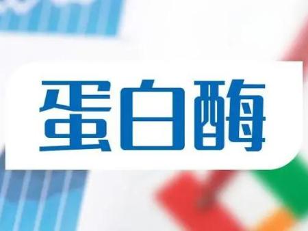 婴儿蛋白酶的作用与功效