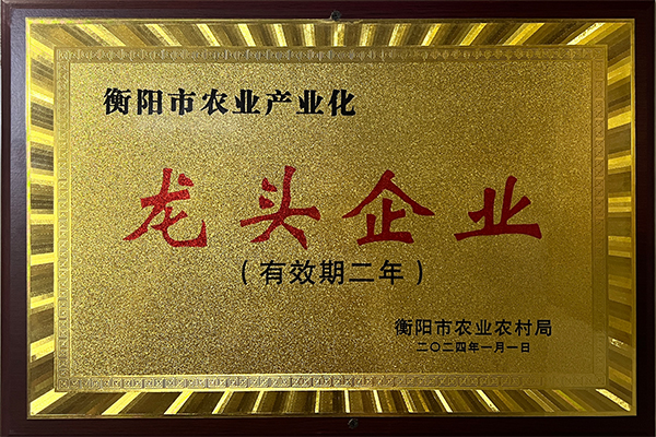 图片01