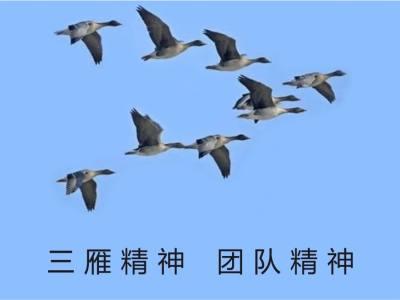 厦门工作服 厦门三雁服饰有限公司 厦门服装厂 厦门制服 工作服厂家 职业装厂家 制服厂家 泉州工作服 福州工作服 漳州工作服 莆田工作服 上海工作服 深圳工作服