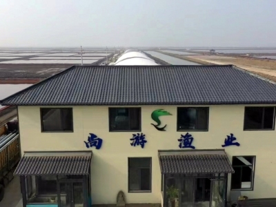 河北suncitygroup渔业【官网】工厂化循环水装备供应|智慧渔业建设|高密度水产养殖|渔业养殖手艺-绿色生态农业效劳