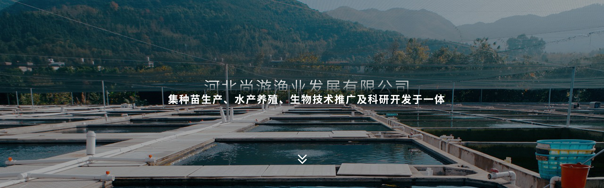 suncitygroup·太阳集团--官方网站