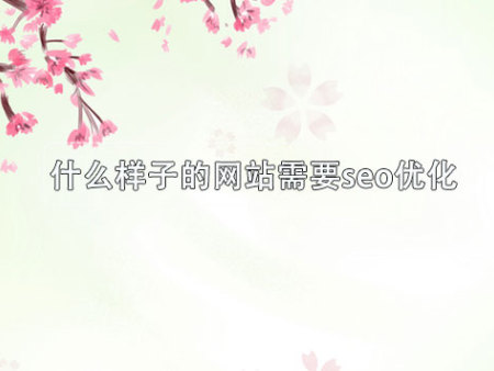什么样子的网站需要seo优化？