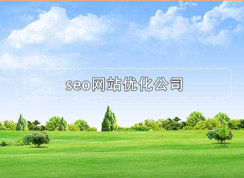 seo网站优化公司