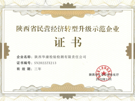 陕西省民营经济转型升级示范企业