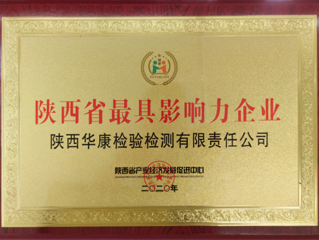 陕西省最具影响力企业