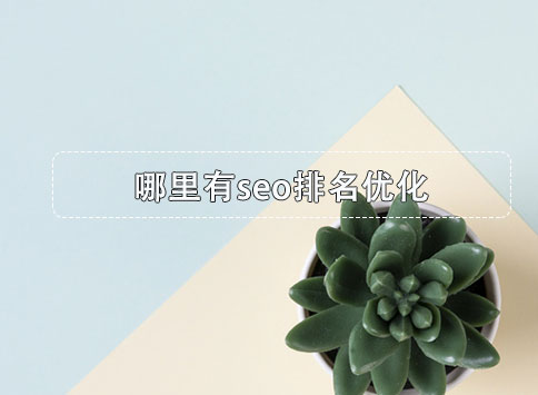 哪里有seo排名优化