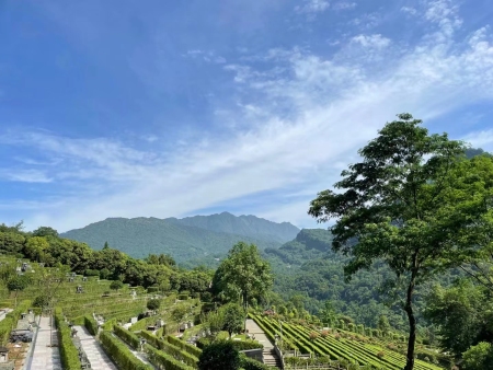 味江陵园