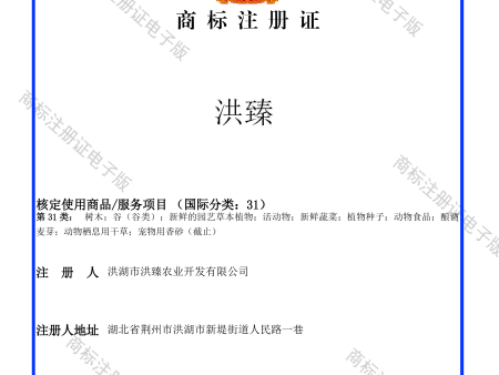 52730728洪臻31類商標(biāo)注冊證-01