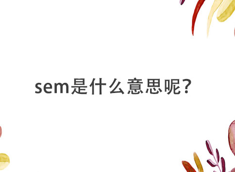 sem是什么意思呢？