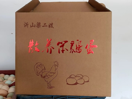 笨鸡蛋