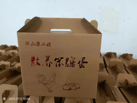 笨鸡蛋