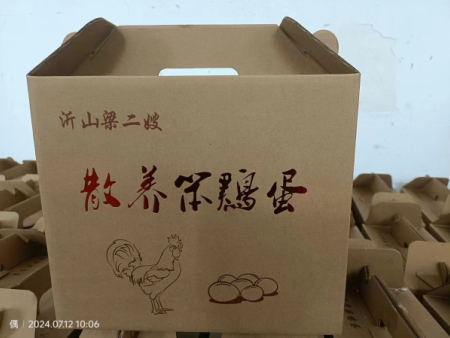 笨鸡蛋