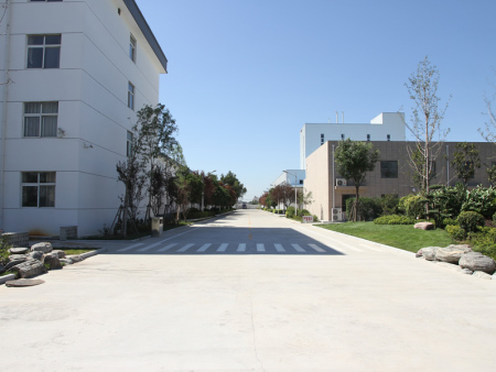 廠(chǎng)區(qū)道路