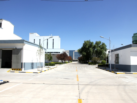 廠(chǎng)區(qū)道路