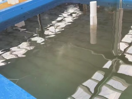 四川庄诚农业发展有限公司实地溶氧监测