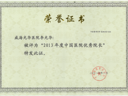 2013年度中国医院优秀院长