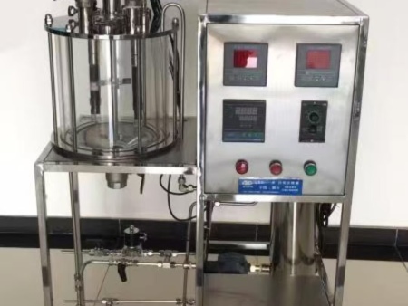 玻璃厌氧发酵罐