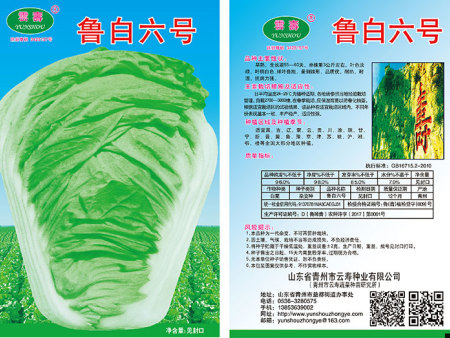 鲁白六号