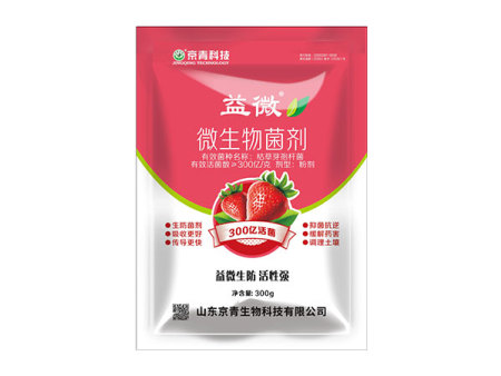 益微微生物菌劑草莓專用300億－300g