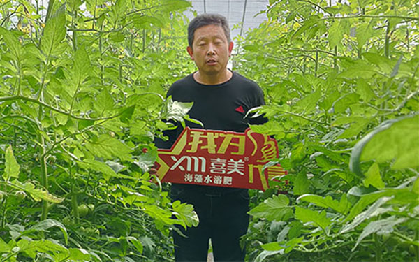 四川攀枝花的张光亮给作物施肥，选择了喜美水溶肥