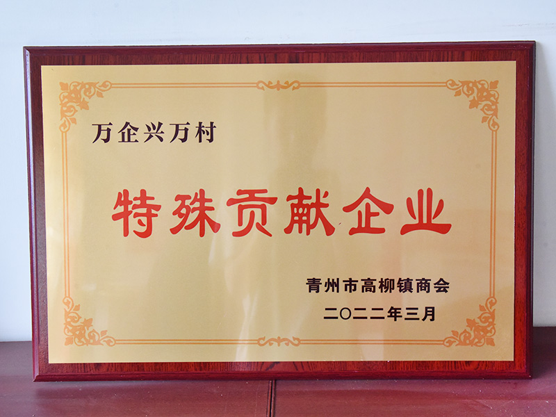 特殊贡献企业