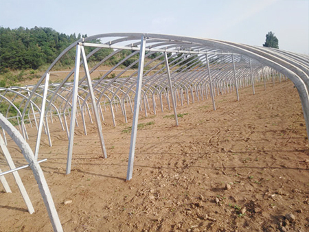 温室大棚 现代农业的绿色革命生产新引擎