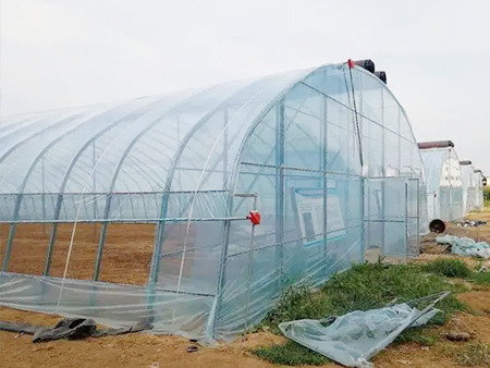 智慧农业新篇章 节能蔬菜大棚搭建方案与实践
