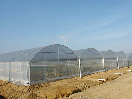 蔬菜大棚厂家 创新推动绿色农业，定制化解决方案助力丰收
