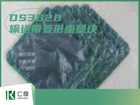 DS3628 输送带菱形重塑块