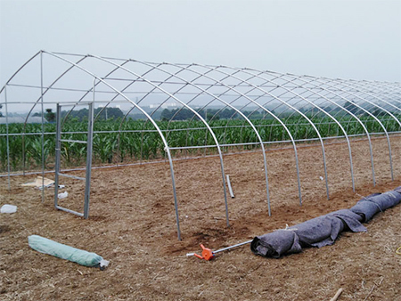 坚固耐用，创新 打造大棚骨架的良好之选