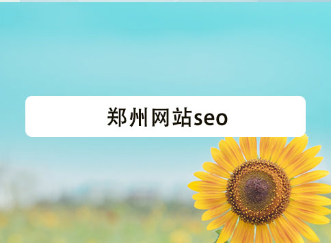 郑州网站seo