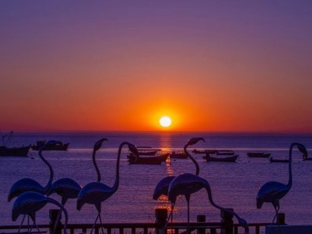 半月湾休闲公园景观改造工程