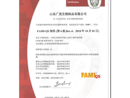 FAMI-QS