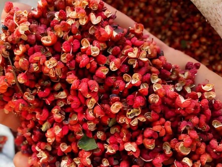 大红袍花椒可以作为凉菜配料吗？