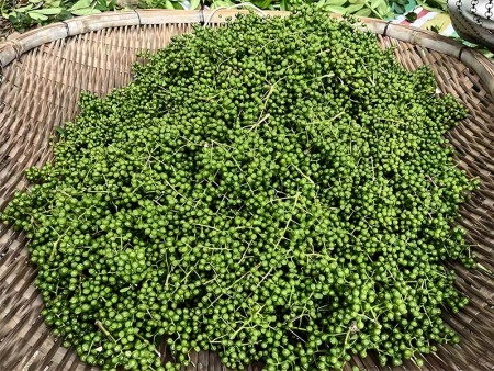 青花椒加工厂