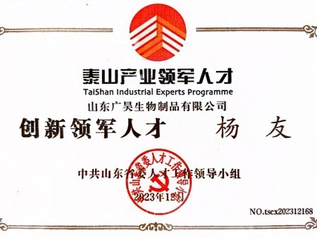 Mount Taishan Industrial Leading Talents