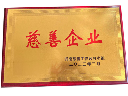 Charitable Enterprise