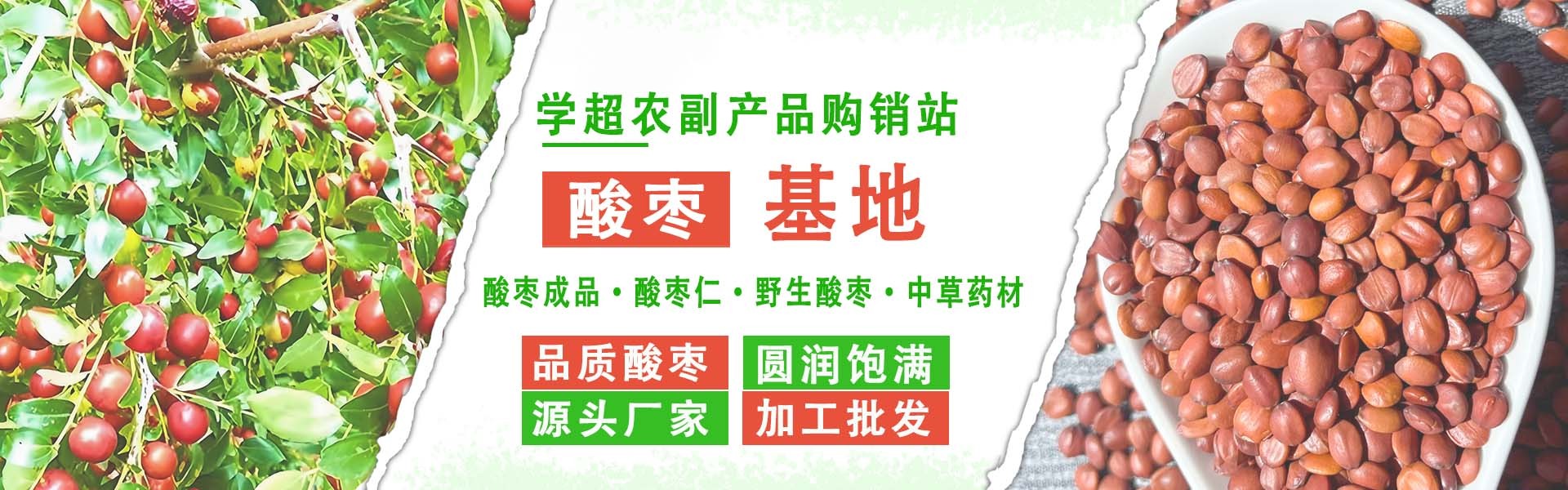 酸枣批发
